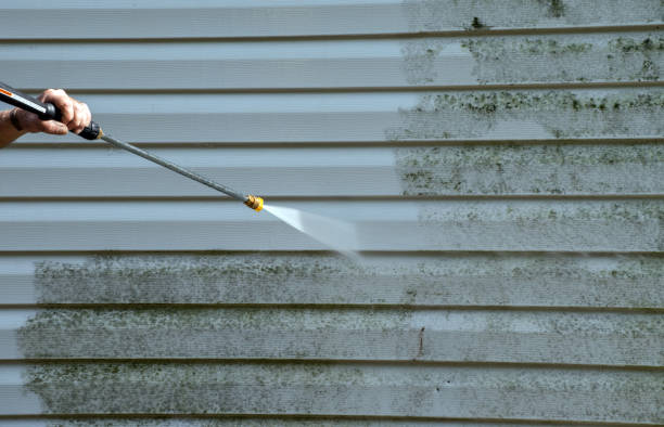 Best Fence Cleaning  in Moundsville, WV